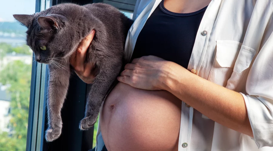 toxoplasmose zwangerschap